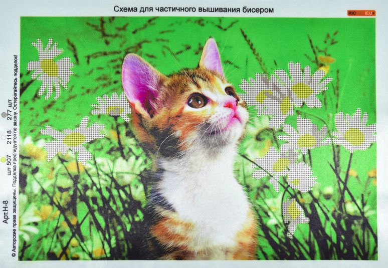 Друк (атлас) часткова виш-бісер (А3) №Н8