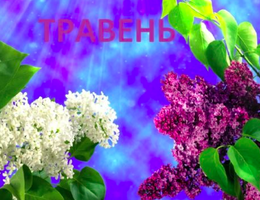 05.2026 НОВИНКИ ТРАВЕНЬ білизняна фурнітура, гумка