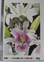 Друк-сітка 30х40см (пмА3) №28 без муліне
