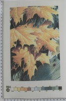 Друк (акція) на вишів.ткані 20х30см №64