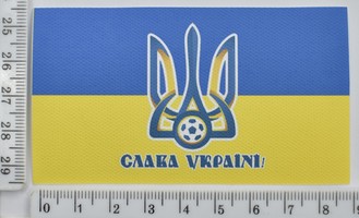 Аплікація клейовий друк спец фарбою 5см*9см