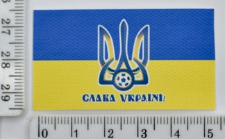 Аплікація клейовий друк спец фарбою 3.3см*5.5см