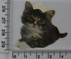 Малюнок 4.2см * 4.5см (термо)