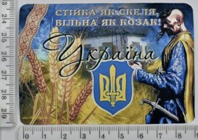 Аплікація клейовий друк спец фарбою 6.3см*9.1см