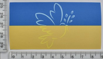 Аплікація клейовий друк спец фарбою 4.8см*9.1см